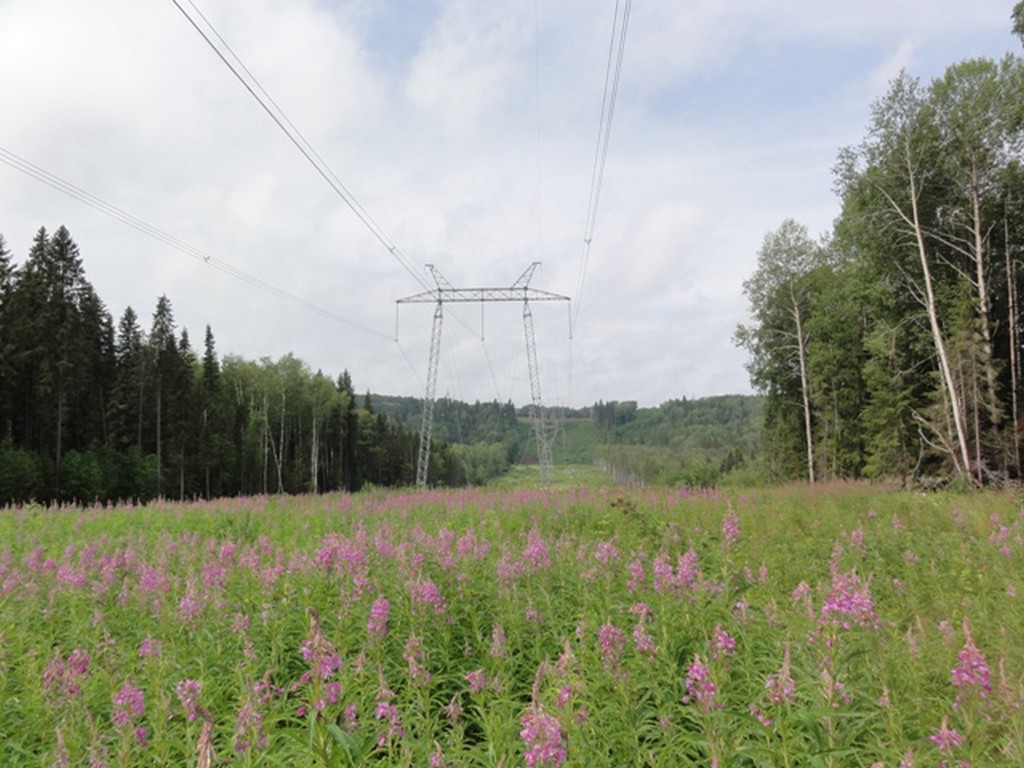 Федеральная сетевая компания ввела в  эксплуатацию линию электропередачи  500 кВ Северная – БАС
