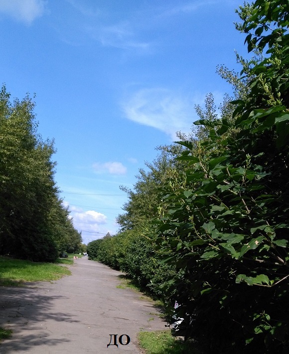 N.Tagil park before 2