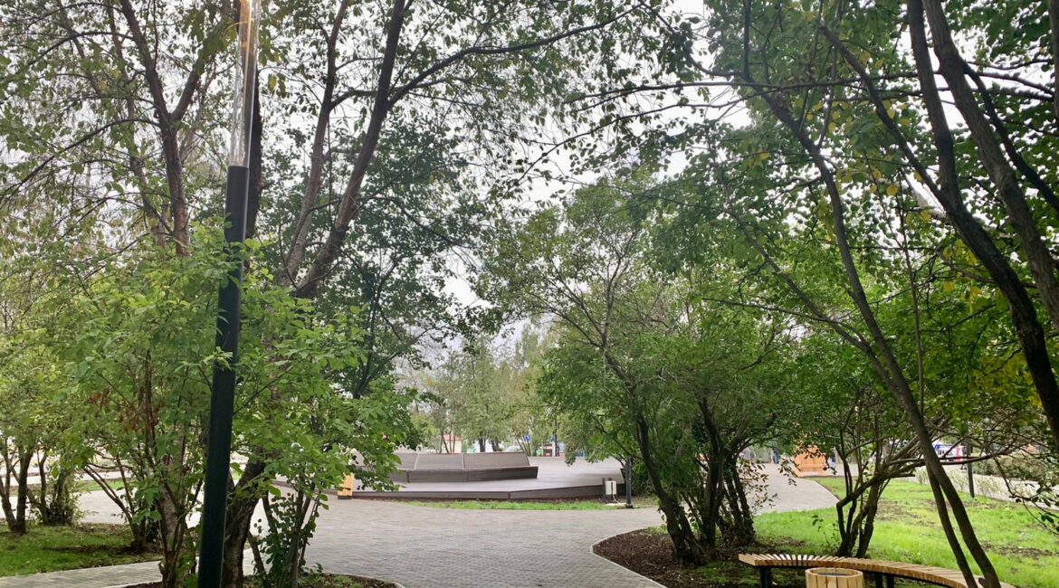 В Год медицинского работника, объявленный Евгением Куйвашевым, в Нижнем Тагиле открыли аллею врачей