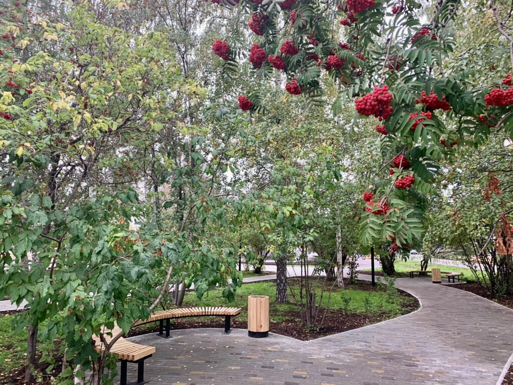 В Год медицинского работника, объявленный Евгением Куйвашевым, в Нижнем Тагиле открыли аллею врачей