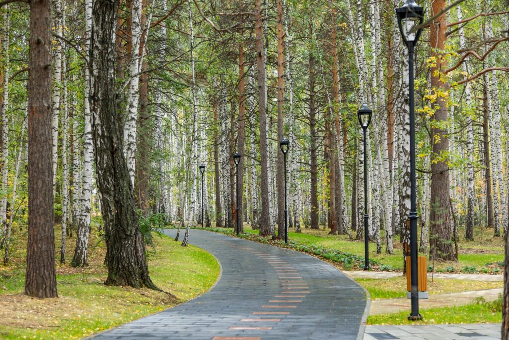 В Верхней Пышме открыли лыжероллерную трассу в парке отдыха, строительство которого ведется при поддержке Евгения Куйвашева