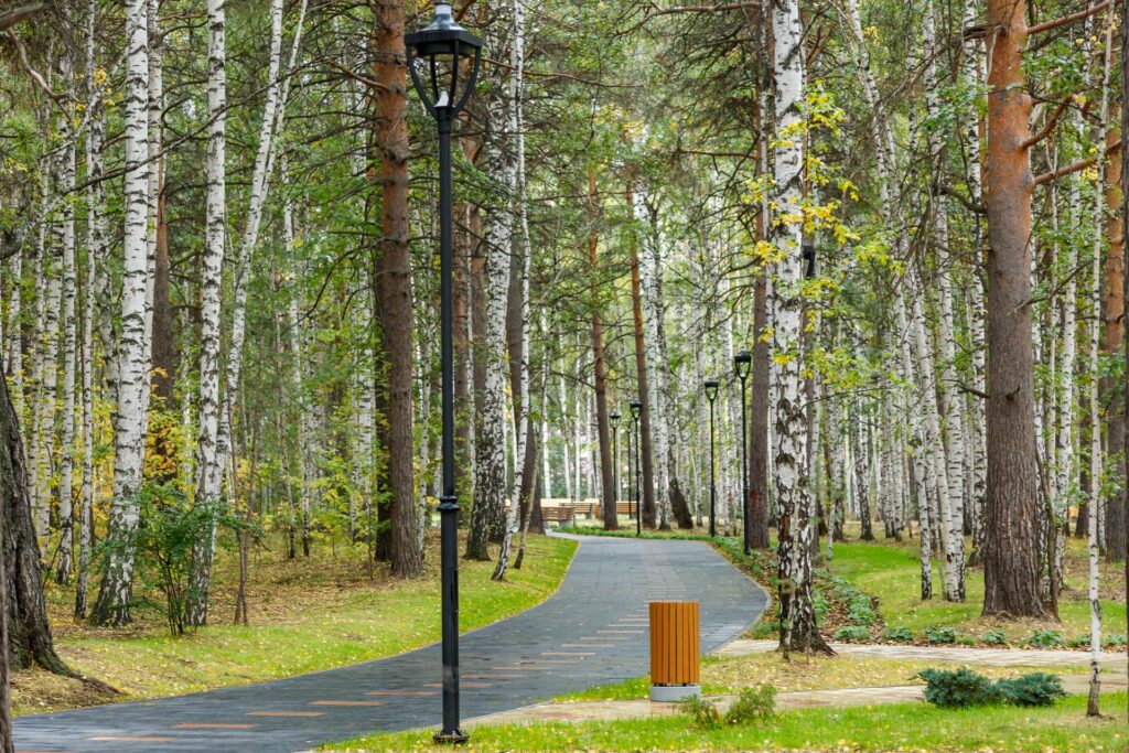 В Верхней Пышме открыли лыжероллерную трассу в парке отдыха, строительство которого ведется при поддержке Евгения Куйвашева